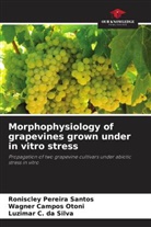 Luzimar C. da Silva, Wagner Campos Otoni, Roniscley Pereira Santos - Morphophysiology of grapevines grown under in vitro stress