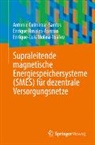 Antonio Colmenar-Santos, Enrique-Luis Molina-Ibáñez, Enrique Rosales-Asensio - Supraleitende magnetische Energiespeichersysteme (SMES) für dezentrale Versorgungsnetze