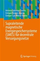 Antonio Colmenar-Santos, Enrique-Luis Molina-Ibáñez, Enrique Rosales-Asensio - Supraleitende magnetische Energiespeichersysteme (SMES) für dezentrale Versorgungsnetze