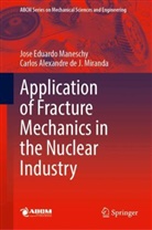 Carlos Alexandre J Miranda, Carlos Alexandre de J. Miranda, Jose Eduardo Maneschy - Application of Fracture Mechanics in the Nuclear Industry