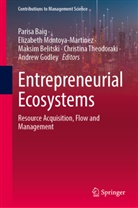 Parisa Baig, Maksim Belitski, Maksim Belitski et al, Andrew Godley, Elizabeth Montoya-Martinez, Christina Theodoraki - Entrepreneurial Ecosystems