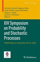 José Alfredo López Mimbela, Carmen Geraldi Higuera Chan, Sergio I López et al, Sergio I. López, José Alfredo López Mimbela, Carlos G. Pacheco - XIV Symposium on Probability and Stochastic Processes
