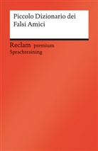 Viviana Chilese, Judith Krieg - Piccolo Dizionario dei Falsi Amici
