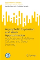 Akihiko Takahashi, Toshihiro Yamada - Asymptotic Expansion and Weak Approximation