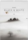 Black & White 2026 - Bildkalender 50x70 cm - Wandkalender XL - schwarz-weiß - Kunst - Hochformat - Palazzi