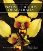 David L Jones, David L. Jones - Complete Guide to Native Orchids of Australia