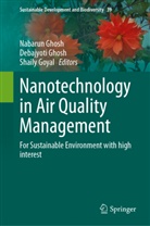 Debajyoti Ghosh, Nabarun Ghosh, Shaily Goyal - Nanotechnology in Air Quality Management