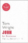 Tom Wright - John for Everyone