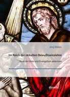 Jörg Weber - Im Reich der okkulten Bewußtseinslehre. Sturz der Idole und Evangelium aeternum