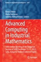 Todorka Aleksandrova, Maria Datcheva, Elena Lilkova - Advanced Computing in Industrial Mathematics