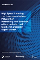 Jan Kemnitzer - High Speed Sintering von thermoplastischem Polyurethan - Herstellung von Bauteilen mit maximierten und funktional gradierten Eigenschaften