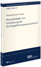 Michaela Felisiak, Michaela (Dr.) Felisiak, Dominik Sorber, Dominik (Dr.) Sorber - Praxisleitfaden zur Umsetzung der EU-Entgelttransparenzrichtlinie