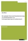 Lilly Wilson - Die optimale Dosis und Zusammensetzung von Kohlenhydraten zur Leistungssteigerung im Ausdauersport