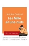 Antoine Galland - Réussir son Bac de français 2025 : Analyse du recueil Les Mille et une nuits de Antoine Galland