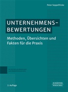 Peter Seppelfricke - Unternehmensbewertungen