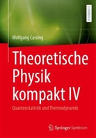 Wolfgang Cassing - Theoretische Physik kompakt IV