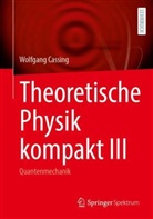Wolfgang Cassing - Theoretische Physik kompakt III