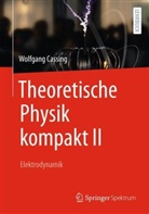 Wolfgang Cassing - Theoretische Physik kompakt II