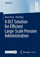 Nick King, Berin Terzic - A DLT Solution for Efficient Large-Scale Pension Administration