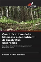 Simone Martini Salvador - Quantificazione della biomassa e dei nutrienti di Eucalyptus urograndis