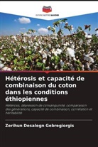 Zerihun Desalegn Gebregiorgis - Hétérosis et capacité de combinaison du coton dans les conditions éthiopiennes