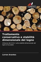 Lorran Arantes - Trattamento conservativo e stabilità dimensionale del legno