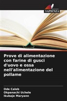Ode Caleb, Ikubaje Maryann, Okpanachi Uchele - Prove di alimentazione con farine di gusci d'uovo e ossa nell'alimentazione del pollame