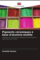 Vaneide Gomes - Pigments céramiques à base d'alumine-mullite