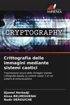 Aissa BELMEGUENAI, Nadir DEROUICHE, Djamel Herbadji - Crittografia delle immagini mediante sistemi caotici