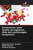 Hadjer Ballouti, Yesmine Guergour, Mohamed Amine Kerdoun - Gentamicina sotto stretta sorveglianza: sfide del monitoraggio terapeutico