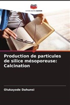 Olukayode Dahunsi - Production de particules de silice mésoporeuse: Calcination