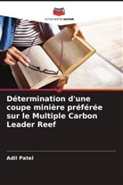 Adil Patel - Détermination d'une coupe minière préférée sur le Multiple Carbon Leader Reef