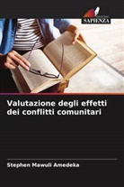 Stephen Mawuli Amedeka - Valutazione degli effetti dei conflitti comunitari