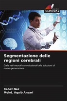 Mohd. Aquib Ansari, Rahat Naz - Segmentazione delle regioni cerebrali