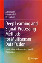 Barry Cardiff, Arlene John, Deepu John - Deep Learning and Signal-Processing Methods for Multisensor Data Fusion
