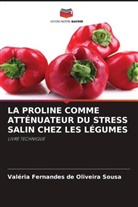Valéria Fernandes de Oliveira Sousa - LA PROLINE COMME ATTÉNUATEUR DU STRESS SALIN CHEZ LES LÉGUMES