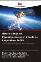 Antônio H. de C. Teixeira, Daniel Noe Coaguila Nuñez, Fernando Braz T. Hernandez - Détermination de l'évapotranspiration à l'aide de l'algorithme SAFER