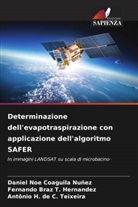 Antônio H. de C. Teixeira, Daniel Noe Coaguila Nuñez, Fernando Braz T. Hernandez - Determinazione dell'evapotraspirazione con applicazione dell'algoritmo SAFER