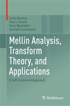 Carlo Bardaro, Paul L Butzer, Paul L. Butzer, Ilaria Mantellini, Ilaria e Mantellini, Gerhard Schmeisser - Mellin Analysis, Transform Theory, and Applications