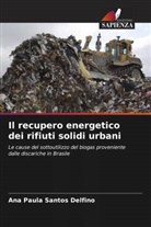 Ana Paula Santos Delfino - Il recupero energetico dei rifiuti solidi urbani