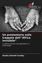 Shaibu Danladi Sunday - Un promemoria sulle trappole dell'"Africa invisibile"