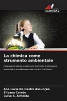 Silvana Calado, Ana Lucia de Castro Assunção, Luisa S. Almeida - La chimica come strumento ambientale