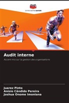 Anísio Cândido Pereira, Joshua Onome Imoniana, Juarez Pinto - Audit interne