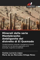 Vanina Lucrecia López, María de las Mercedes Ortega Pérez - Minerali della serie Montebrasite-Ambligonite del distretto di El Quemado