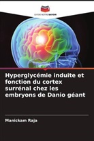 Manickam Raja - Hyperglycémie induite et fonction du cortex surrénal chez les embryons de Danio géant