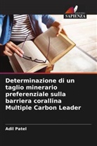 Adil Patel - Determinazione di un taglio minerario preferenziale sulla barriera corallina Multiple Carbon Leader