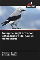 Okonkwo Dominic, Ilozumba Phillip - Indagine sugli artropodi ectoparassiti del Gallus domesticus