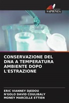 N'GOLO DAVID COULIBALY, ERIC VIANNEY DJEDOU, MONEY MARCELLE ETTIEN - CONSERVAZIONE DEL DNA A TEMPERATURA AMBIENTE DOPO L'ESTRAZIONE