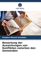 Stephen Mawuli Amedeka - Bewertung der Auswirkungen von Konflikten zwischen den Gemeinden