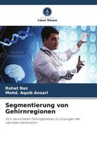 Mohd Aquib Ansari, Mohd. Aquib Ansari, Rahat Naz - Segmentierung von Gehirnregionen